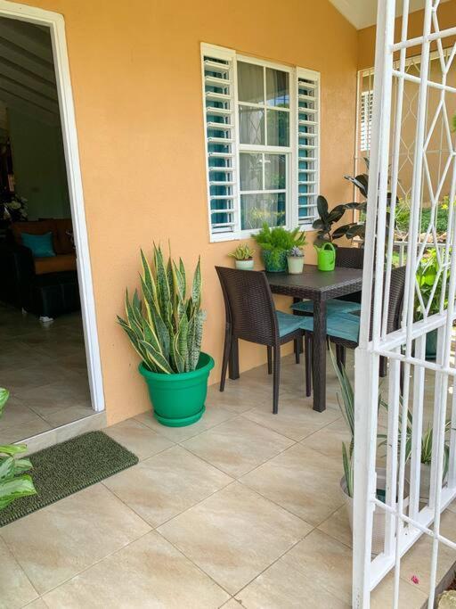 Cozy Apartment Mammee Bay